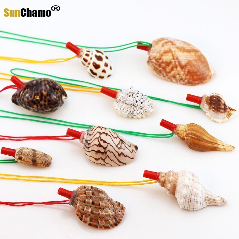 Sunchamo – sifflet de conque naturel, petite coquille de corne caractéristique, jouet artisanal, ornement Micro-paysage, décoration artisanale