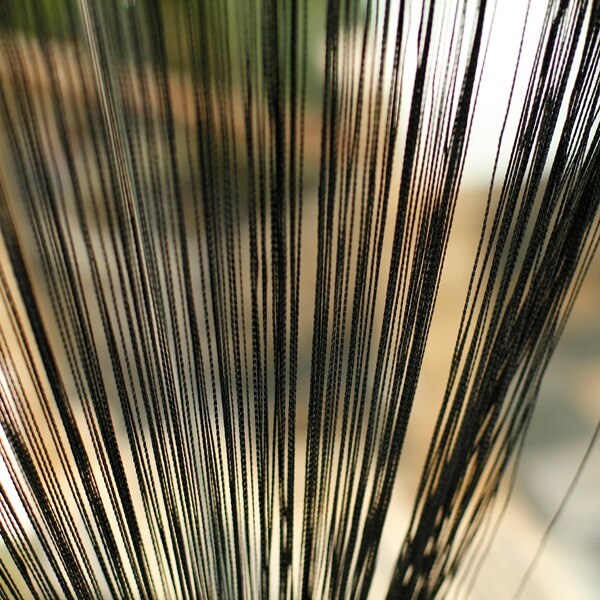 Handgemaakte Ambacht Decoratie PandaHall 2 Stuks Grote Schelpen Sint-jakobsschelpen Schelpen Natuurlijke Sint-jakobsschelpen Niet-geboorde Schelpen Decoratieve Schelpen Voor Bruiloft Strand Zee Ambachten Zeeschelp Ornamenten Hangend