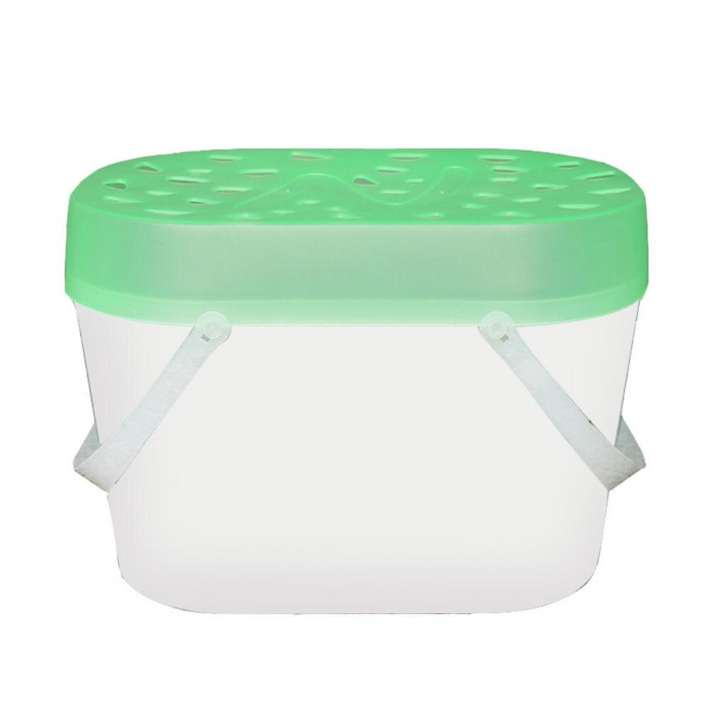 Safe Mini Fish Tank Thickened Lid Easy Cleaning Transparent Aquarium Climbing Pet Transport Box:  Green M