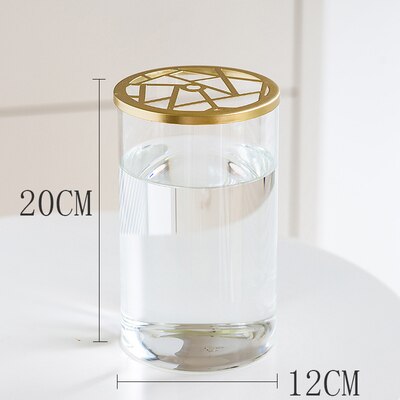 Nordic Transparent Glass Vase Golden Grid Cover Living Room Flower Arrangement Ikebana Decoration Desktop Hydroponic Plants Tool: N