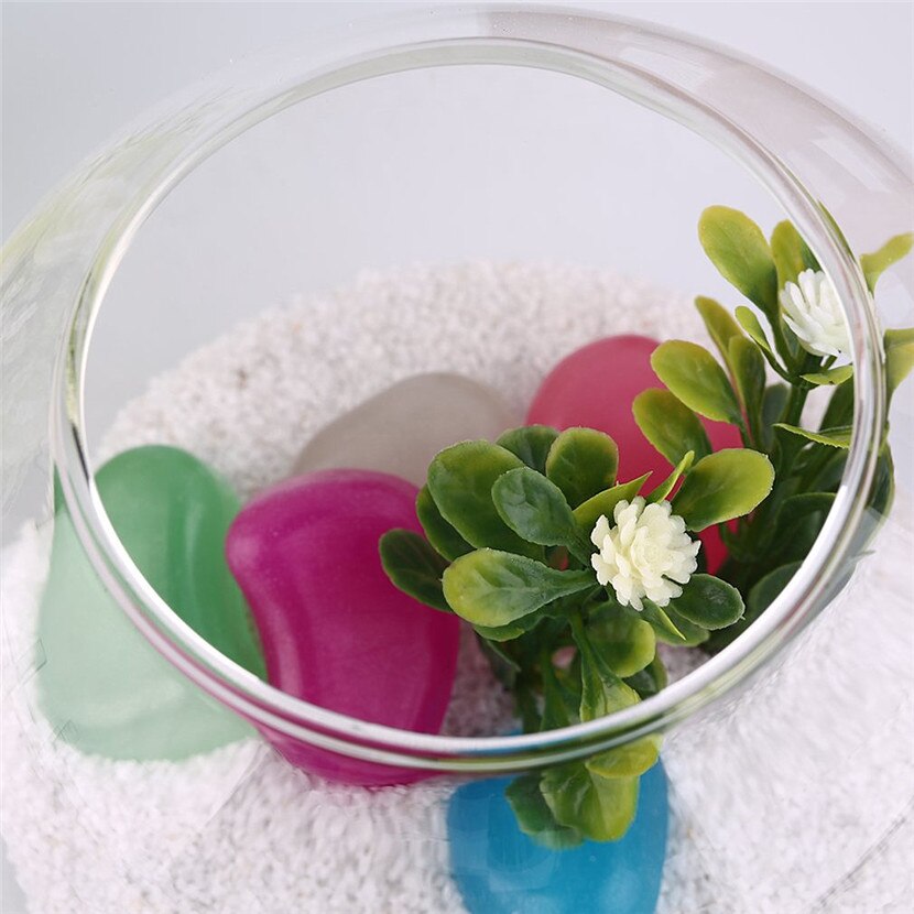 1 Set Diameter 10 Cm Transparent Micro Meaty Bryophytes Landscape Glass Vase Bottle With Cover Home Wedding Decor Craft