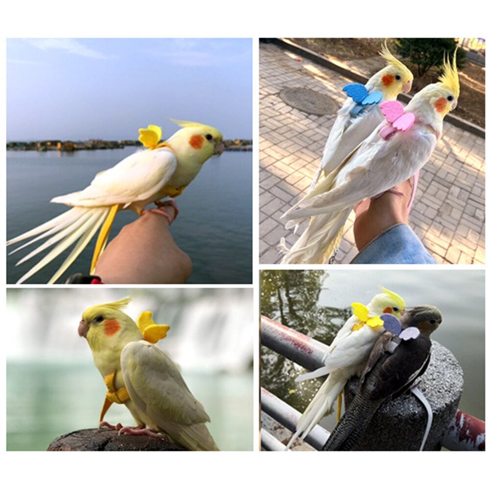 Calopsitte oiseau harnais longueur réglable Ultra léger corde d'entraînement Anti perdre perroquet laisse avec boucle pour aras vol extérieur