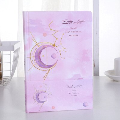 365 planificateur carnet planificateur organisateur agenda agenda Journal quotidien Plan balle Journal Record vie papeterie: pink