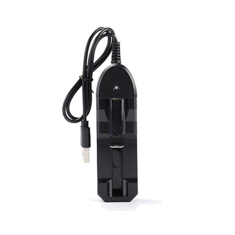 1/2/4 spor  ac 110v/220v 18650 batterilader svart til 14500 14650 16650 18350 18500 18650 3.7v oppladbare litiumbatterier: Grønn