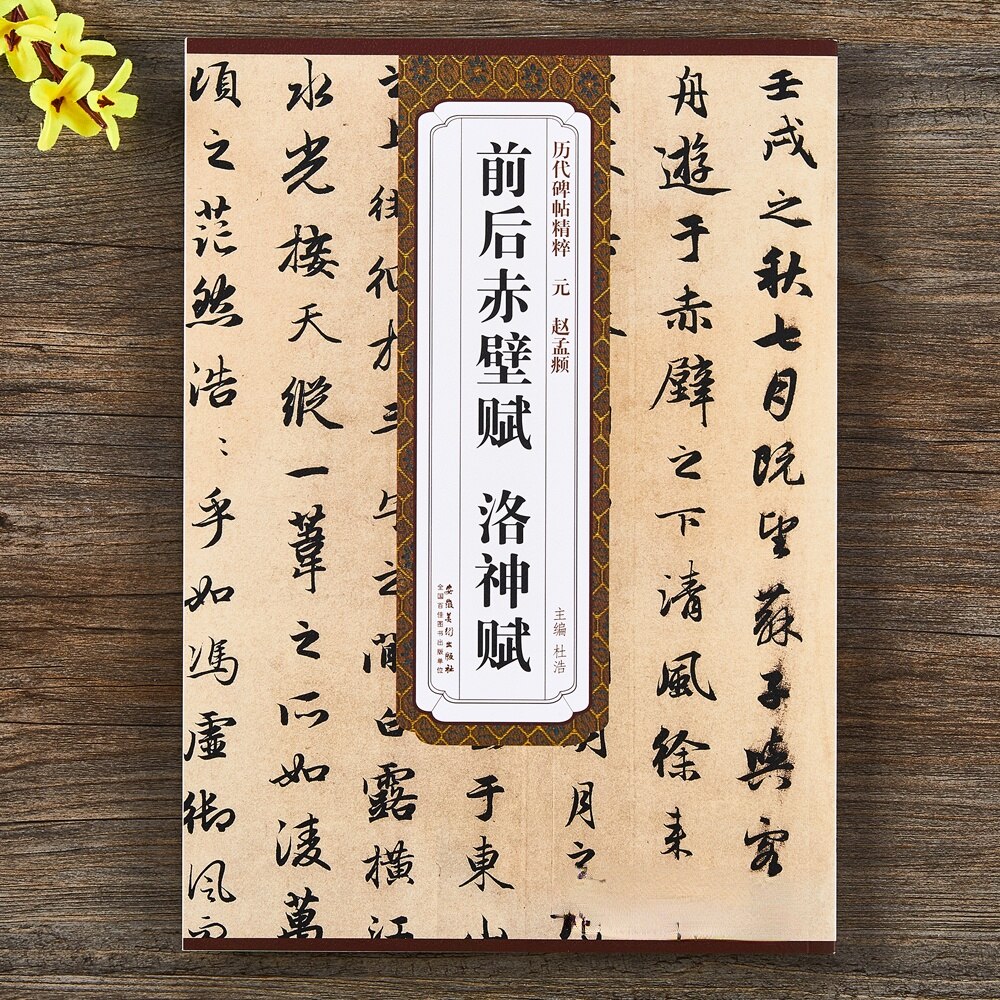 Tao Te Ching Schriften Zhao Mengfu Klein Normaal Script Borstel Kalligrafie Schrift Ouyang Xun Running Script Kalligrafie Boek: green