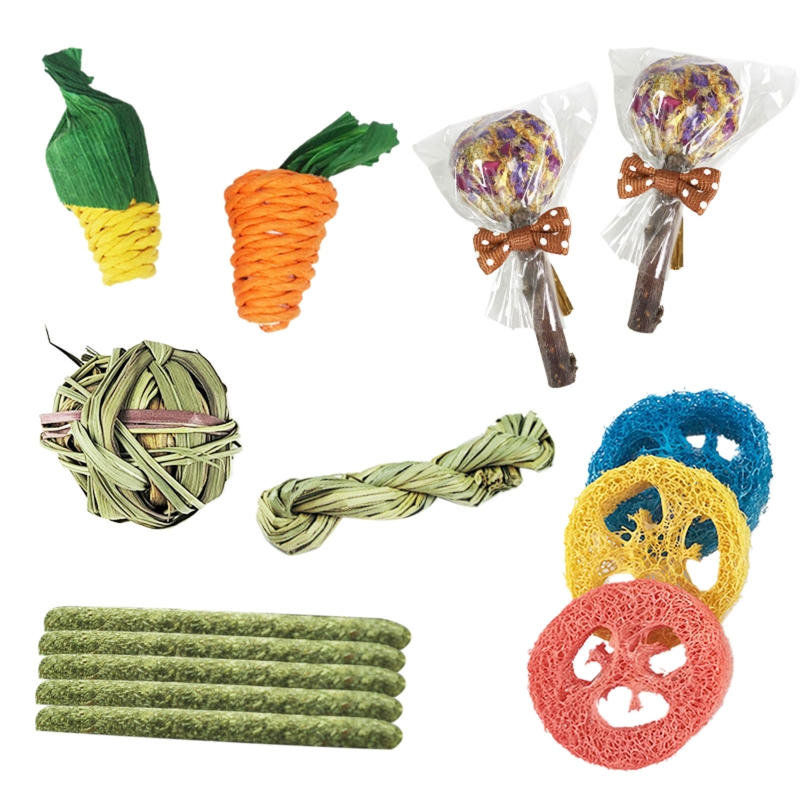 Rodent Pets Chewing Stick Healthy Odor Free Little Animal Molar Snacks 14 Pieces Hamster Teeth Training Toy Handmade