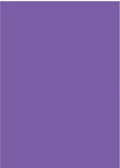 Papier d'impression couleur A4, 100 feuilles de papier Origami artisanal pour enfants, 120g: Violet