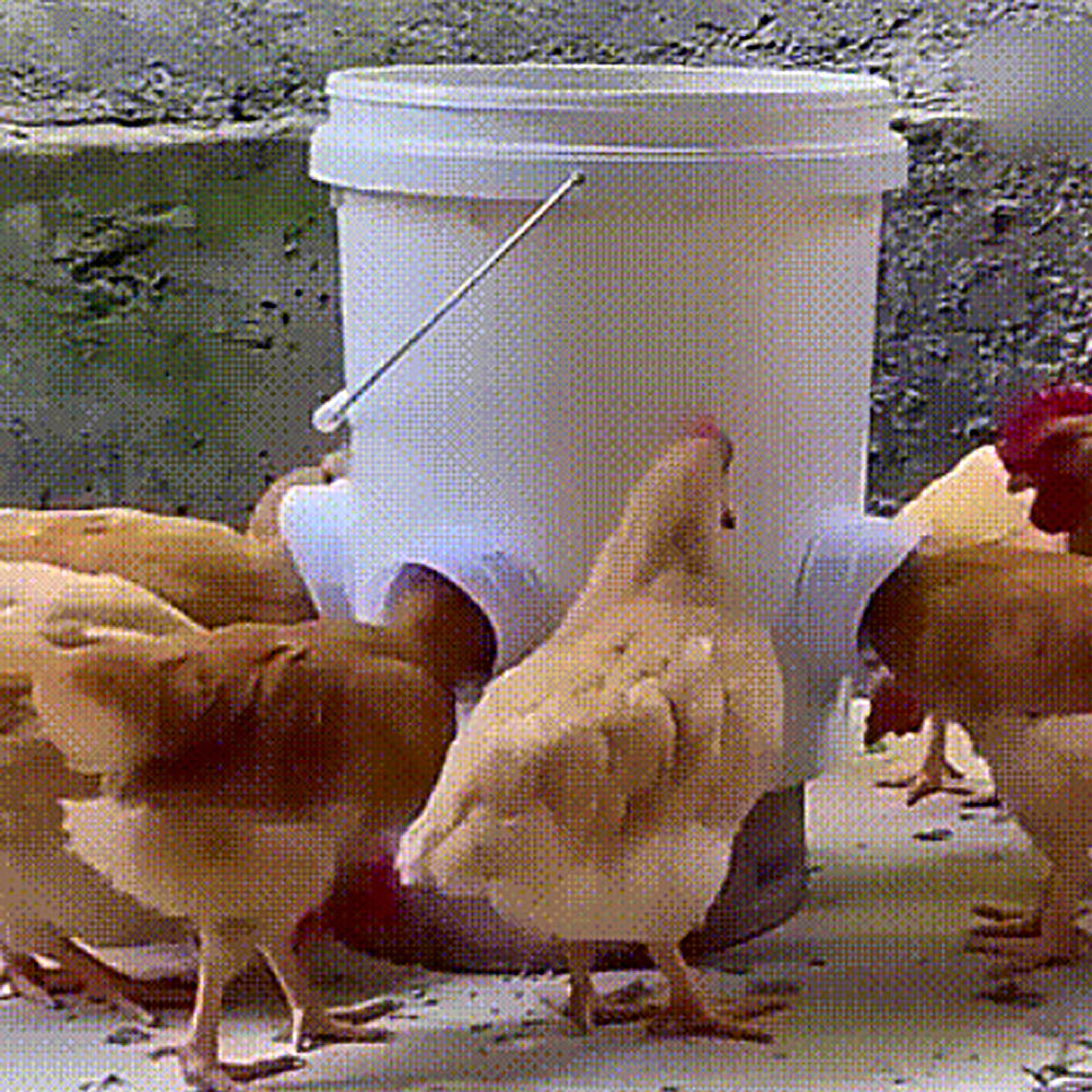 Chicken Feeder DIY Rain Proof Poultry Feeder Port Gravity Feed Kit For Buckets Barrels Drums Buckets Troughs