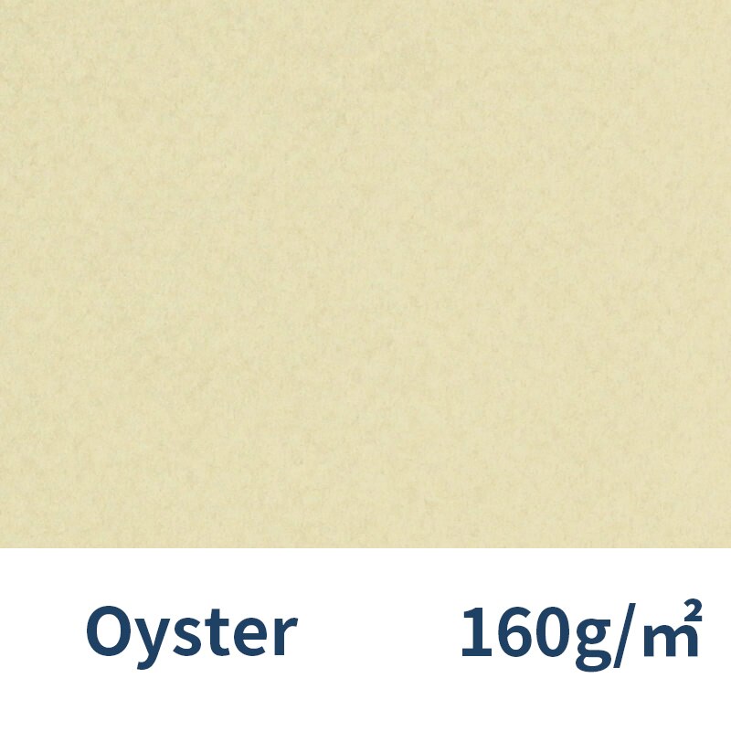 France Canson Soft Pastel Paper 4K Mi-Teintes 12Pcs Oil Pastels Painting Paper Chalk Crayon Sketch Color Pencils: 340