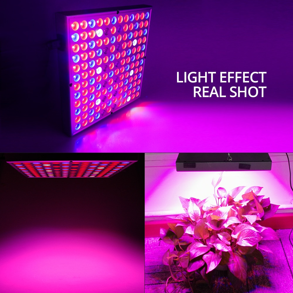 WAKYME 1200W LED Grow Light Full Spectrum LED Plant Light Fitolampy for Indoor Plants Seed Flowers Seedling Cultivation Lamp
