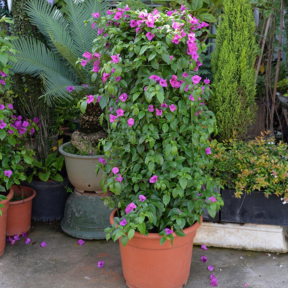 45cm/60cm/75cm Plants Climbing Frame Flower Stand Gardening Supplies Plant Climbing Rack Plant Potted Support Frame Plant Pot