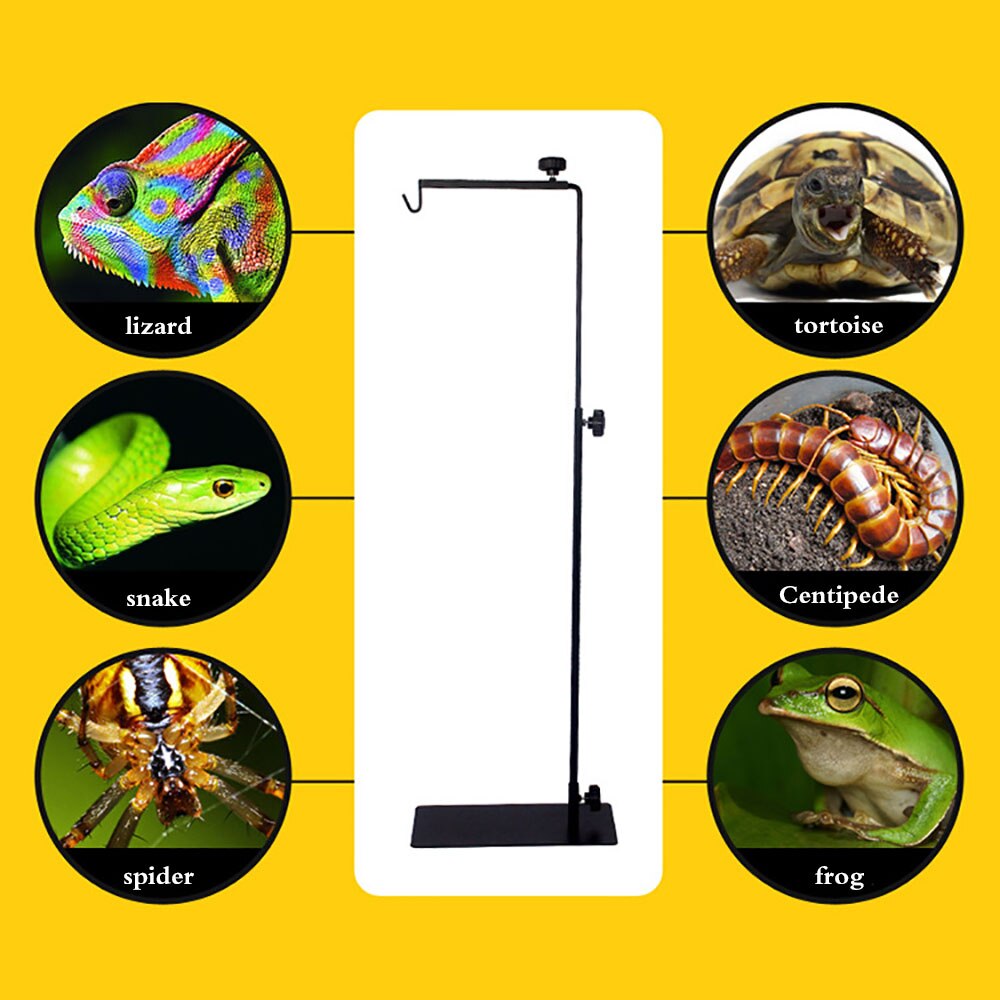 Reptil lampestand justerbar gulvlampeholder stativ landingslampe stand bracke support til krybdyr glas varmelys