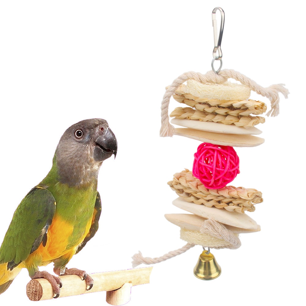 PipiFren papugi zabawki i akcesoria ptak zabawki dla sepia kości mątwy Conure i papużka falista papuga dostaw klatka dekoracji