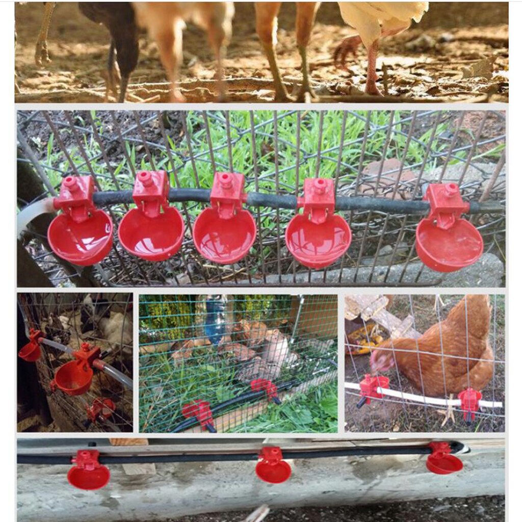 Pack of 10 - Automatic Chicken Waterer Drinker Cups with Ring - Water Dispenser for Poultry Automatic Bird Coop Feed