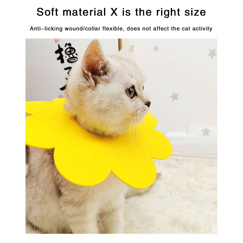 Katzen-Halskragen Transparenter Schutz – Größe L, Kugelförmig, Anti-leck & Beißsicher