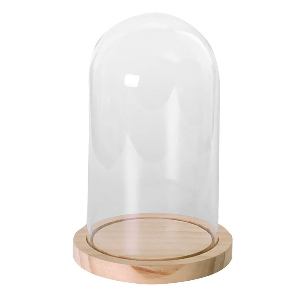 LBER-cloche en verre Transparent | Bocaux à succion en verre, sur pied en bois, pour fleurs plantes naissance, d'exposition dôme Base en bois: Default Title