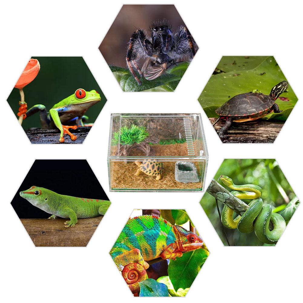 Acryl Spider Hagedis Schorpioen Enti 'S Acryl Gemonteerd Reptiel Fokkerij Doos Transparant Insect Ademend Terrarium