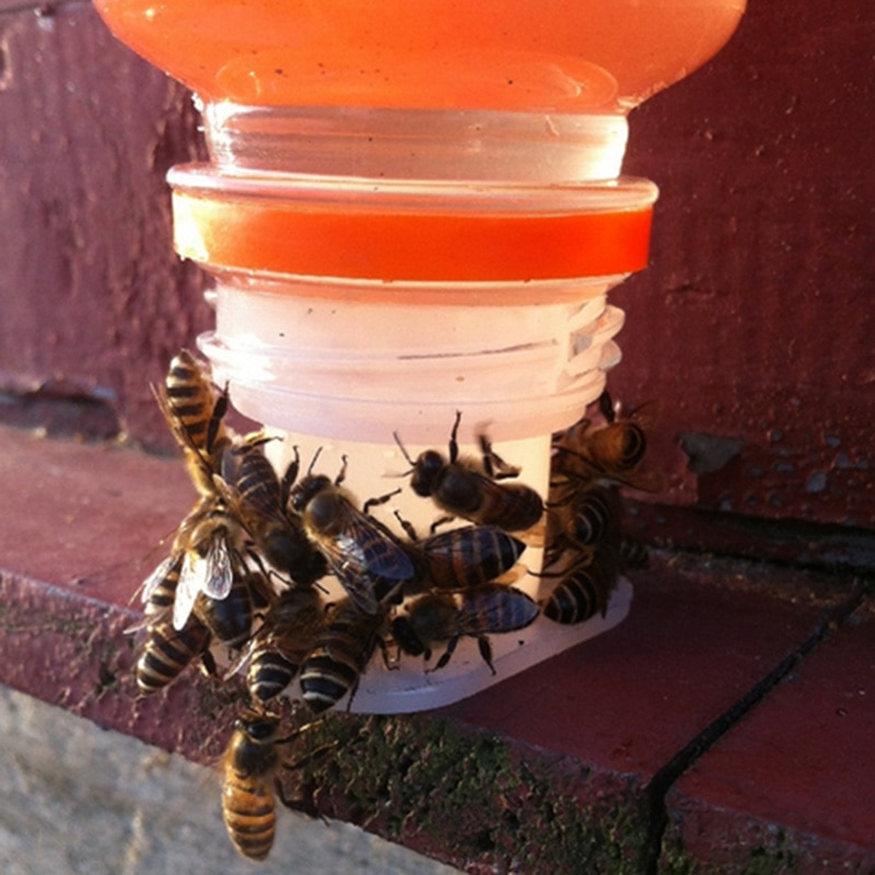Bebedero para abejas, taza, botella de agua, tapa, alimentación de insectos, herramientas de apicultura, 2 uds.
