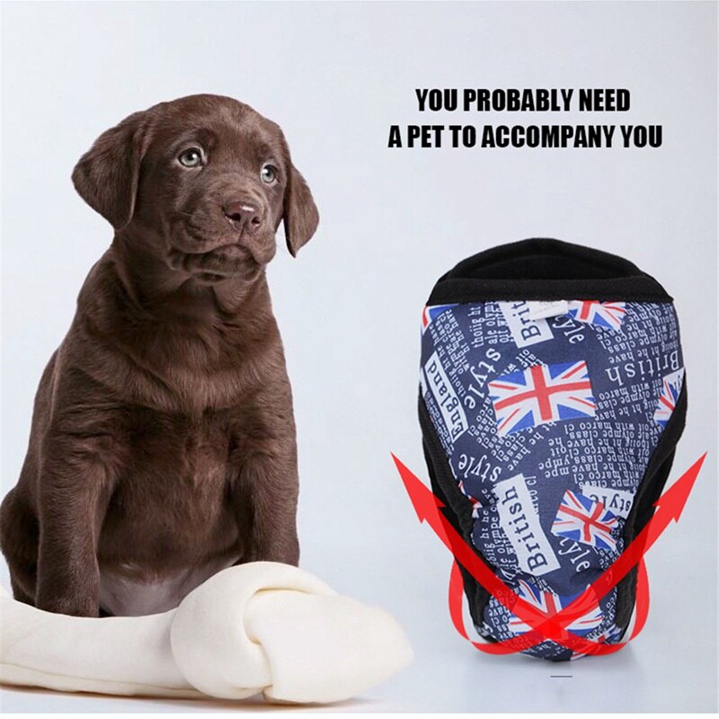 Animal de estimação calça fisiológica loopheidsbroekje cachorro roupa interior shorts fralda para cães culotte pour chienne braitulas para perro teddy