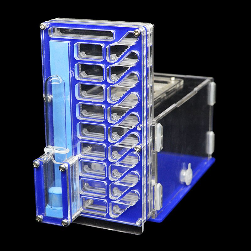 DIY Acrylic Ant Farm with Feeding Area Multi-layered Ant Nest Ant House for Pet Anthill Workshop Villa Insect Box 19*16*8.5cm: Blue