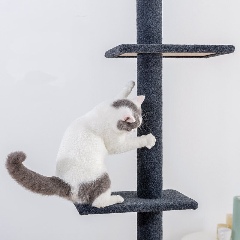 Cat climbing frame large Tongtian pillar cat tree cat grasping pillar cat jumping platform cat grasping board Four Seasons cat