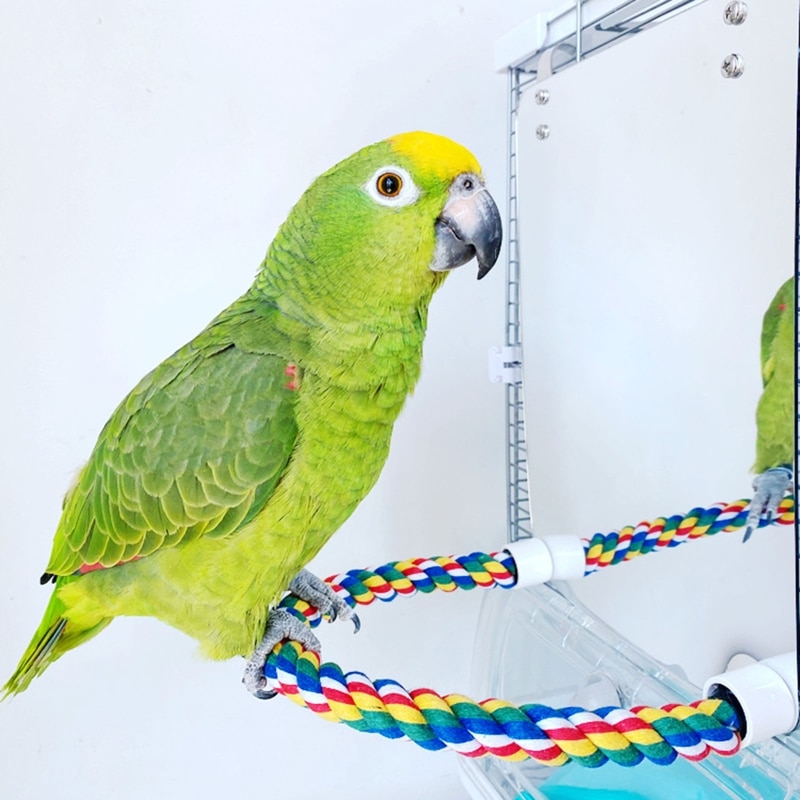 Acryl Vogel Spiegel Met Touw Zitstokken Vogel Speelgoed Schommel Comfy Baars Voor Parkiet