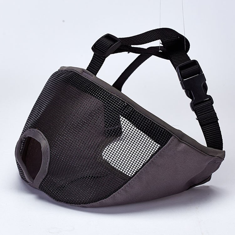 Muselière bouledogue français pour animaux de compagnie, masque pour petit animal domestique, prévention des morsures, panier de souris, respirant, laisse pour chien, fournitures de harnais: black / XL