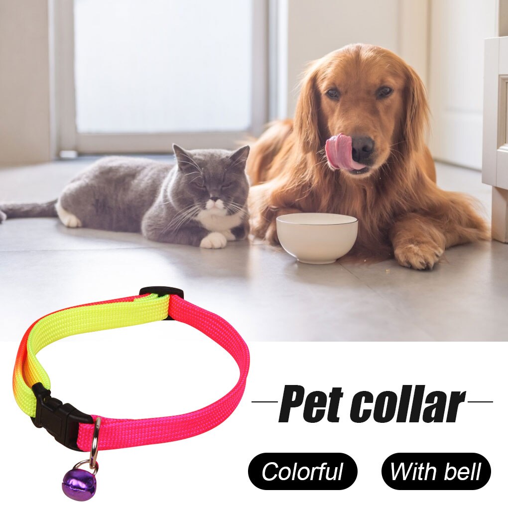 Pet Training Clicker Portable Plastic Training Button Clip Trainer Pet Obedience Training Tool For Dogs Puppies Pet Products