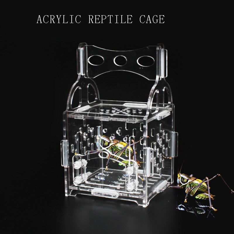 Insect Transparent Acrylic Cage Reptile Feeding Box Insect Container Praying Mantis Reptile Home Insect Cage Breeding Box Pet