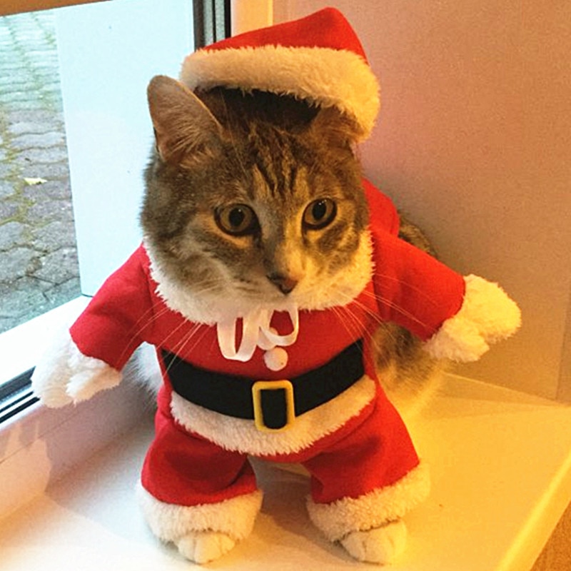 Kerstmis Kat Kostuums Grappige Kerstman Kleding Voor Kleine Katten Honden Xmas Nieuwjaar Huisdier Kat Kleding Winter Kitty Kitten outfits: XL