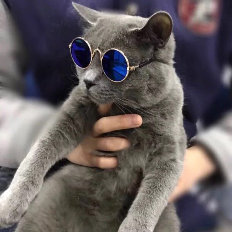 Colorful Cool Cat Glasses Sunglasses for Small Pet Glasses Trend Toy Sunglasses Fro Cats and Small Dogs 1pc