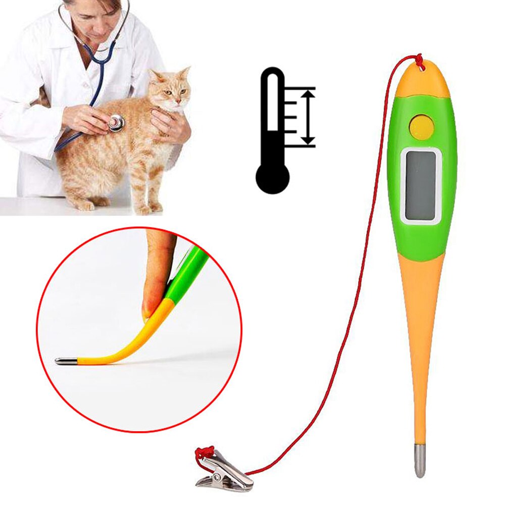 Kæledyr elektronisk termometer hund digitalt termometer til hunde kattegris veterinærforsyninger