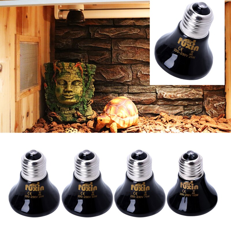 Emisor de luz de calor, calentador de bombillas, Mini infrarrojo para lagarto araña para caja de reptiles, lámpara de calefacción para mascotas de 25/50/75/100W
