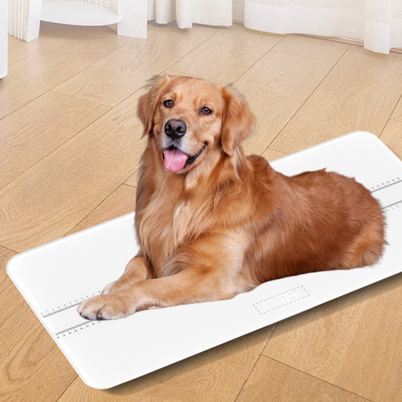 Huishoudelijke huisdierweegschaal Kat Hond Weegapparaat Huishoudelijk klein dier grote huisdierziekenhuis Precisie elektronische weegschaal