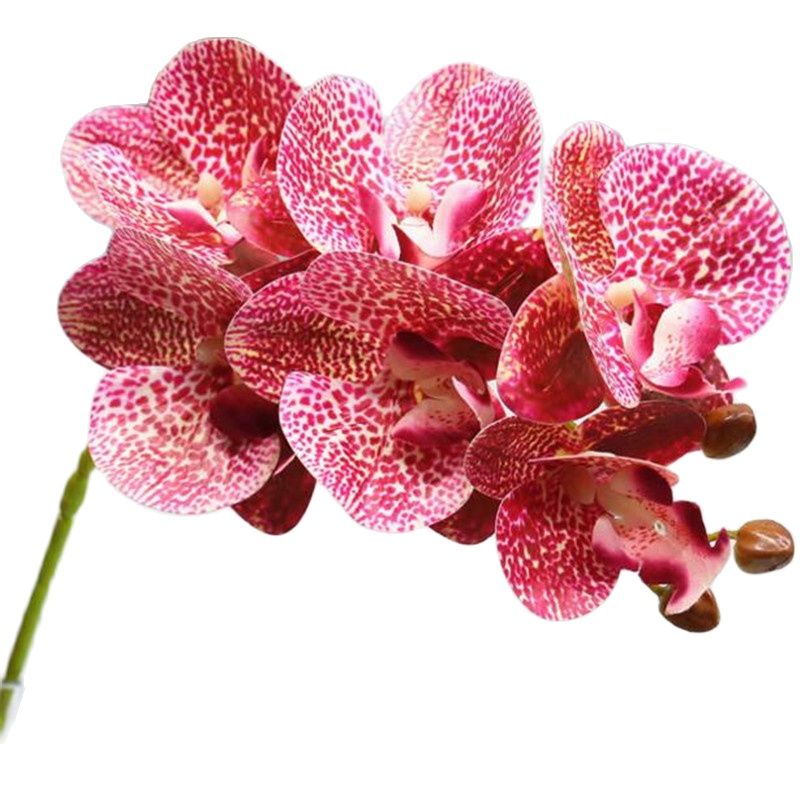 Een Real Touch Vlinder Orchidee Bloem 6 Heads Moth Phalaenopsis Orchidee Plan Kunstmatige Decoratieve Bloemen
