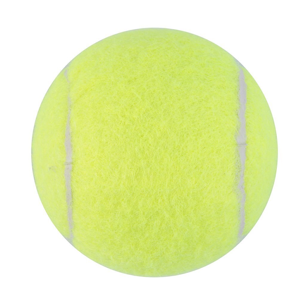 Gule tennisballer sportsturnering utendørs moro siriss strandhund ideell til Strand siriss tennistrening eller Strand/etc: misligholde tittel