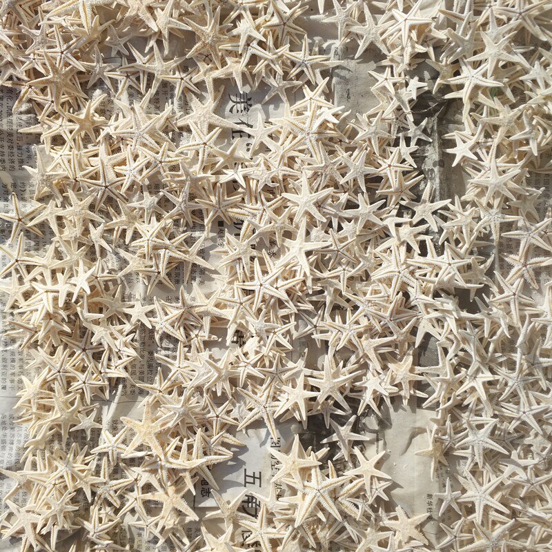Mini estrella de mar blanca de 100-3cm, artesanía Natural de estrellas de mar, artesanal, artesanal, playa, cabaña, decoración de boda, novedad, 1,8 Uds.: Default Title