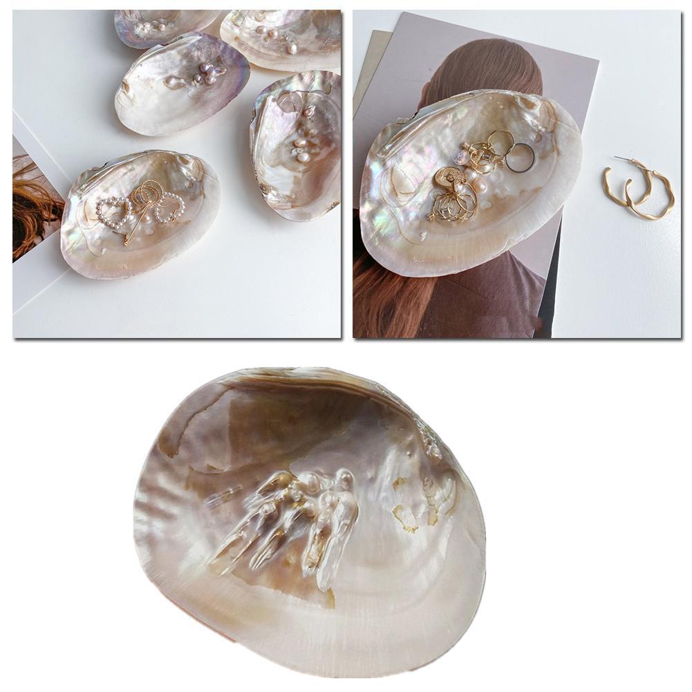 Concha de abulón Natural, conchas de mar grandes, decoración Náutica para el hogar, jabonera, bricolaje, paisaje para acuario, decoración de boda