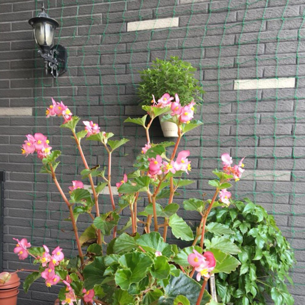Kraftig nylonnetstøtte til agurk morgen petunia blomster veggie espalier net plante klatrevin