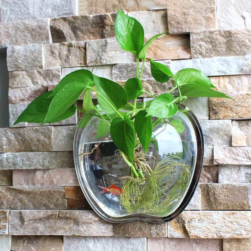 Mini acuario colgante de pared para interior, , ecológico, pared de salón, acrílico Escritorio, pecera dorada