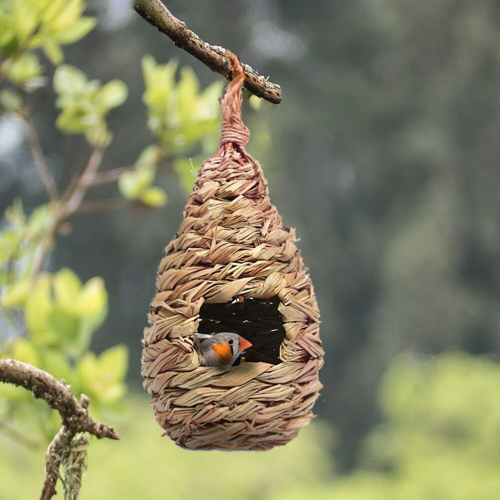 Oiseau maison jardin oiseaux nid fait main herbe Durable extérieur Cage oiseau maison tissé perchoir décoration perroquet nid