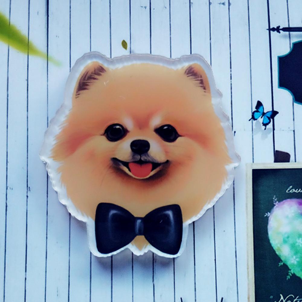 1Pcs Cool Dier Pictogram Mode Broche Acryl Badge Cartoon Hond Pin Kids Birthday Party Decoratie Op Rugzak Hoed sjaal: NICKEL
