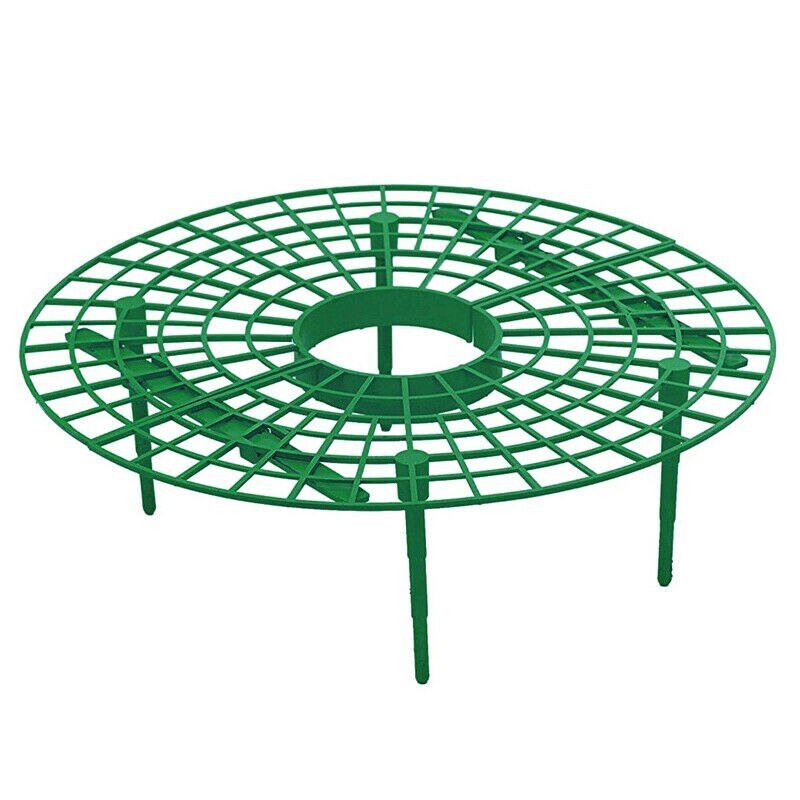 Erdbeere Stehen Pflanzung Gestell Obst Unterstützung Anlage Klettern Reben Blume Säule Gartenarbeit Halterung Gartenarbeit Stehen: Grün