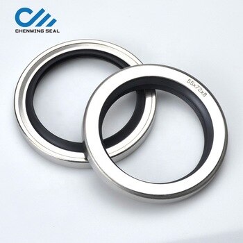 20*40*10 mm Separate Media Lip PTFE Oil Seals Rotary Shaft Seals With Dual Lip Stainless Steel Housing For Compressors Mixers