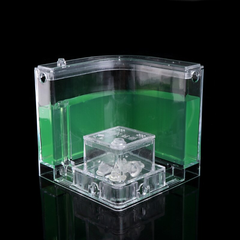 E9LA-laberinto de Gel 3D para granja de hormigas, sistema educativo de alimentación en vivo para guardería, novedad, Habitat,