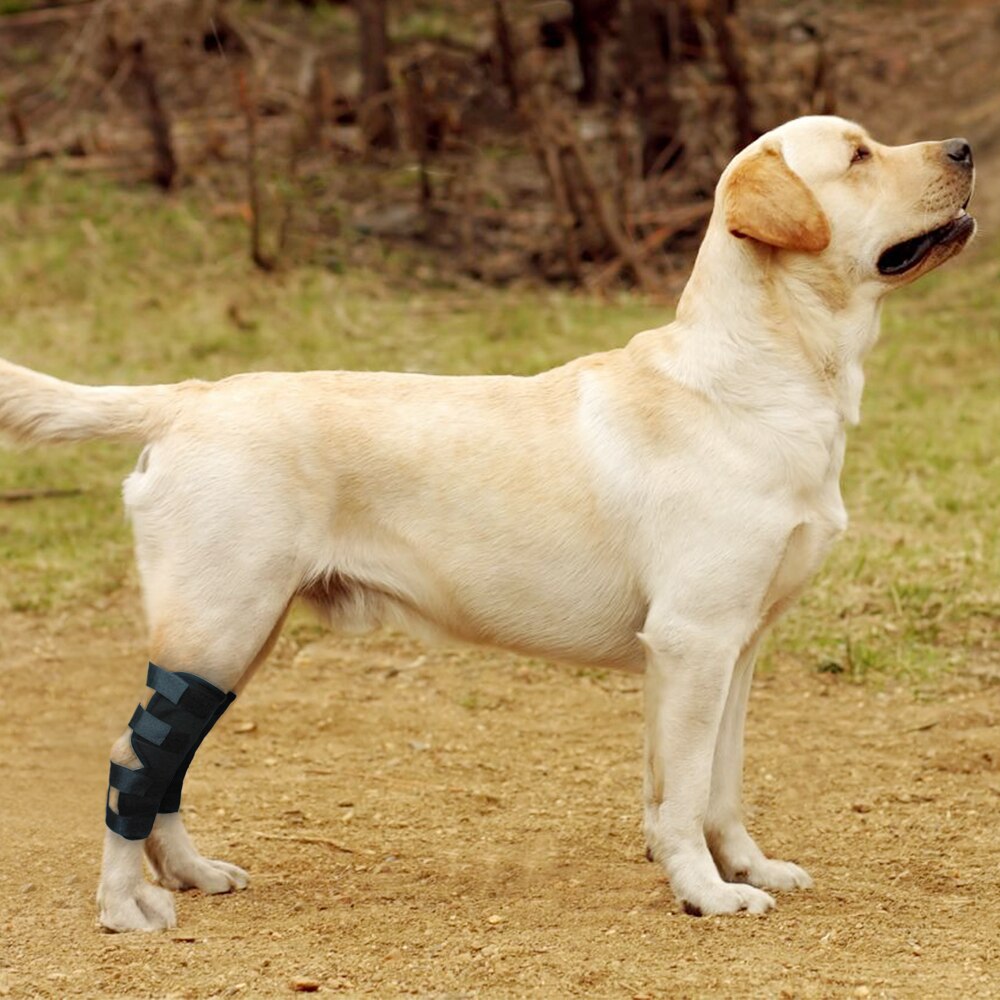 Hond Herstel Mouw Knie Pad Grote Hond Ondersteuning Enkelbrace Ademend Achterbeen Spronggewricht Gezamenlijke Wrap Letsel Herstellen Hond Benen protector