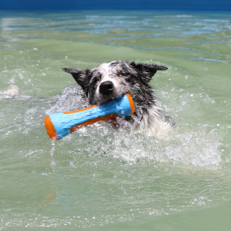 Pet Training Ball Toys Dog Water Floating Training Toys Throwing Flying Disc Interactive Toy For Small Medium And Large Dogs 2