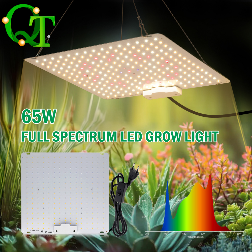 65 W Volledige Spectrum Groeilamp Met 5 Lichtkleuren LM281B LED Plant Licht Voor Kas Bloem en Plantengroei Verlichting