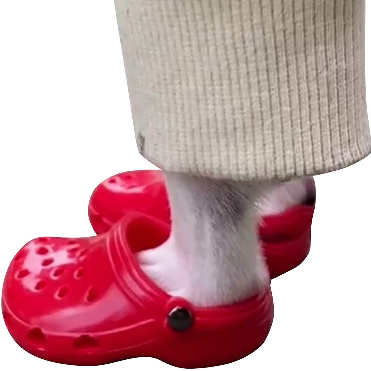Dog Hole Shoes Slippers Puppy Supplies Pet Shoes For Small Dogs Cats Anti-slip Chihuahua Sandals Only Taking Pictures