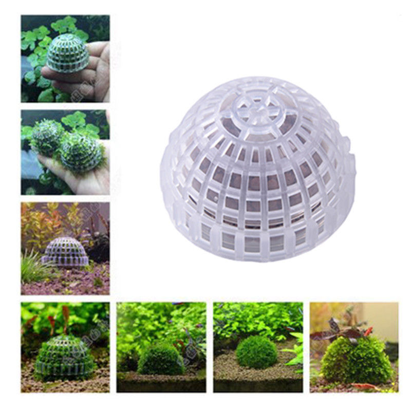 Nyeste 5cm akvarie akvarium medier mos kugle levende plante filter filtrering nyeste indretning